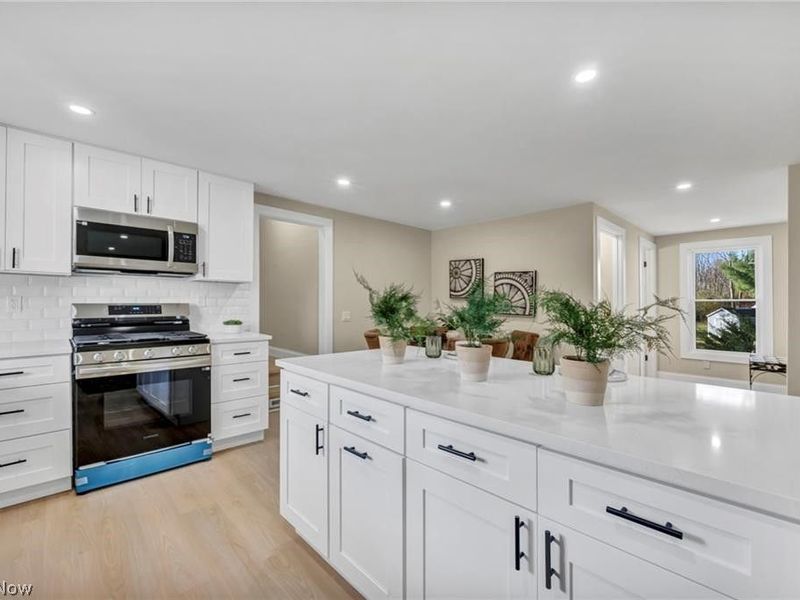 34918 Chestnut Ridge Road, North Ridgeville, OH 44039 Photo 3