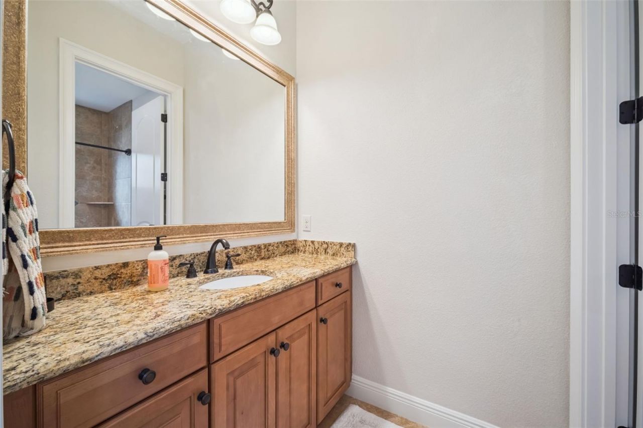 2018 Castelli Boulevard, Mount Dora, FL 32757 Photo