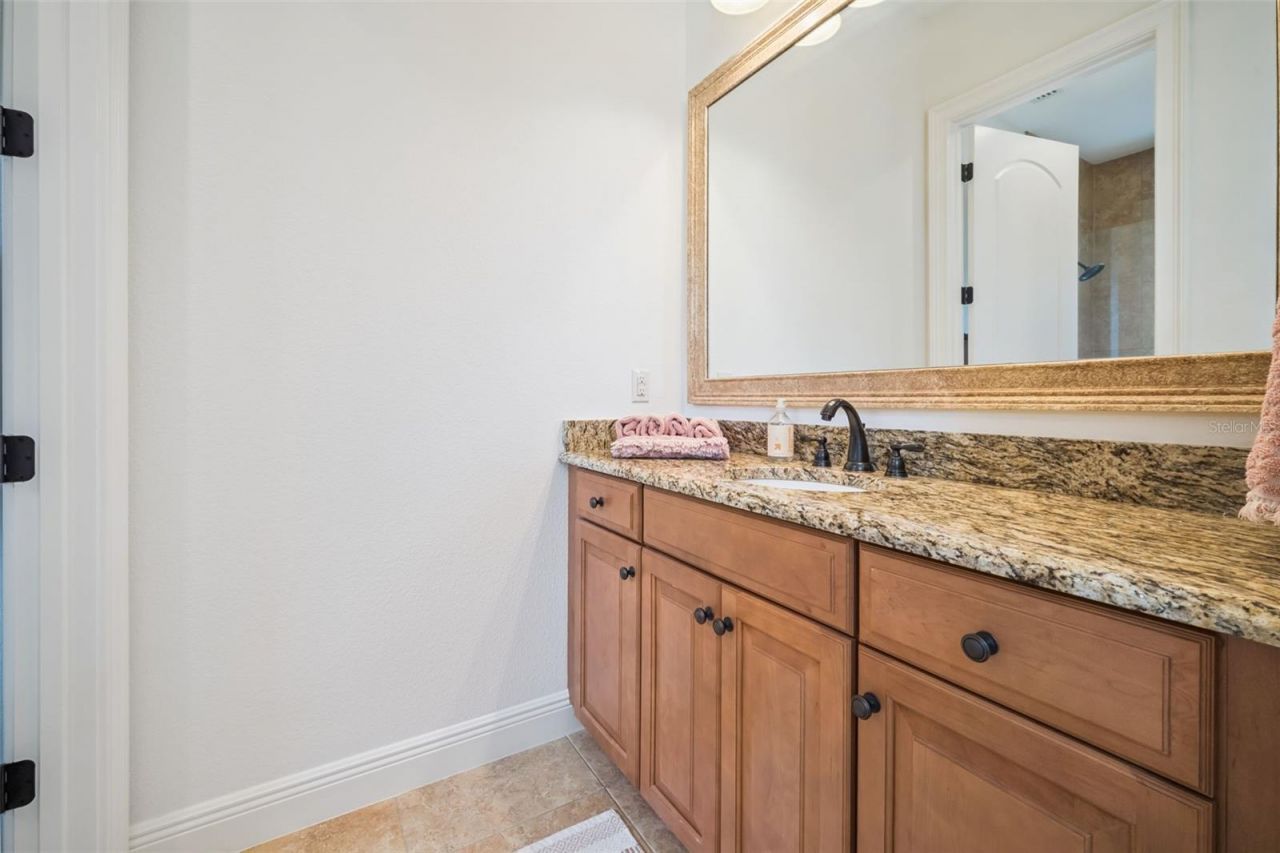 2018 Castelli Boulevard, Mount Dora, FL 32757 Photo