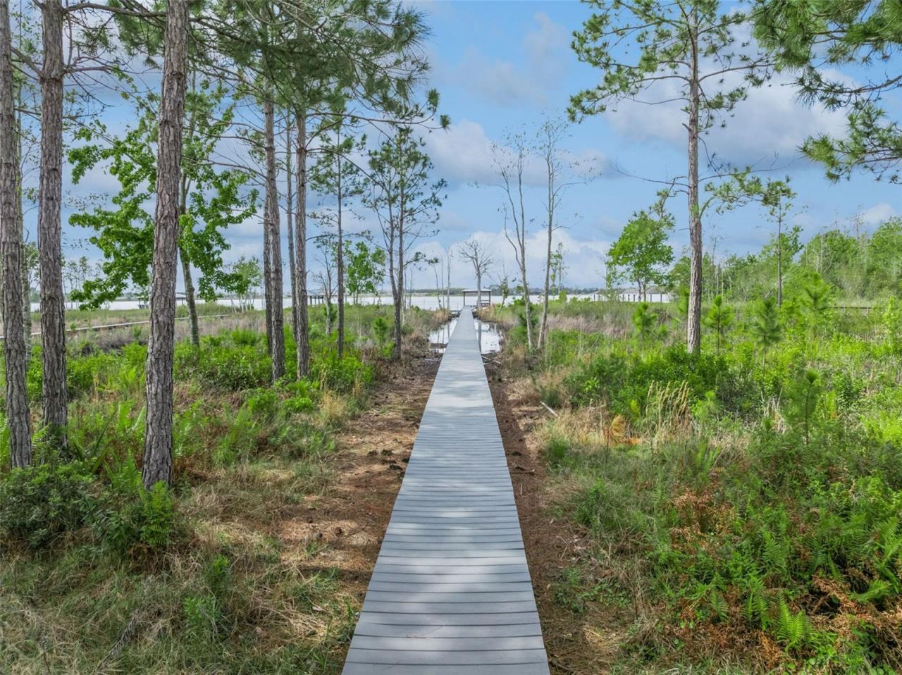 2018 Castelli Boulevard, Mount Dora, FL 32757 Photo