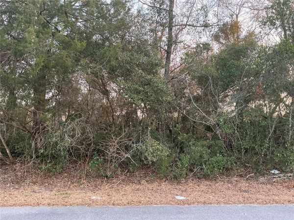 SW 138TH STREET , OCALA, FL 34473