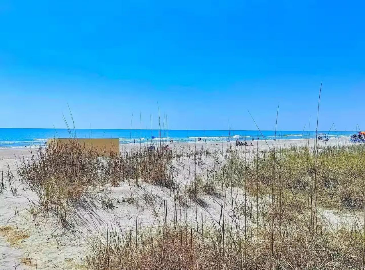 5508 Porcher Dr. Photo 32