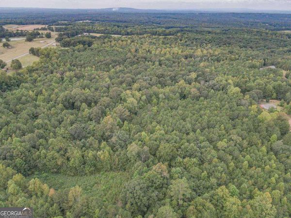 0 Roopville Veal Road, Roopville, GA 30170