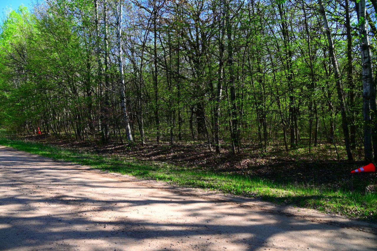 28329 orchard Drive, Browerville, MN 56438