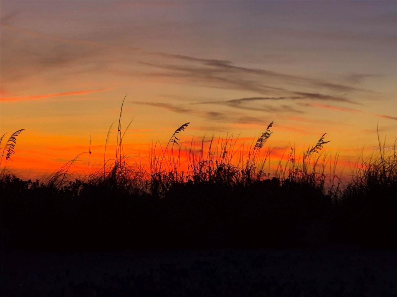 418 Narvaezi Street , Venice, FL 34285 Photo