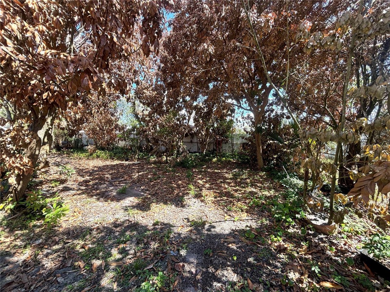 531 Carlisle Avenue , Altamonte Springs, FL 32714 Photo