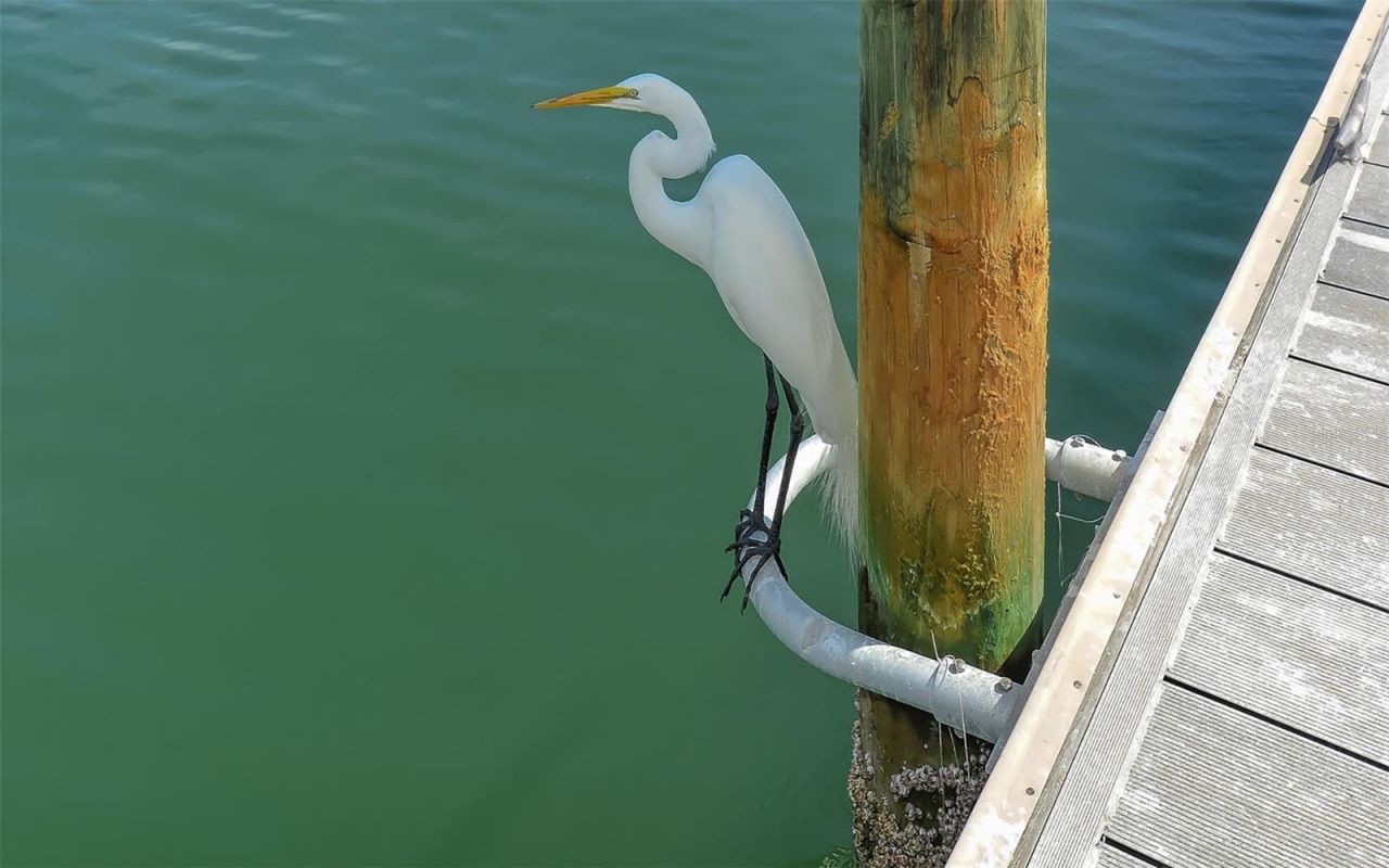 948 Spanish Drive S, Longboat Key, FL 34228 Photo