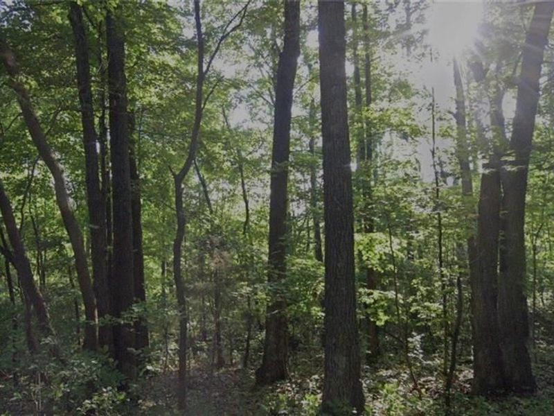 1148 Robinette Road, West Union, OH 45693 Photo 2