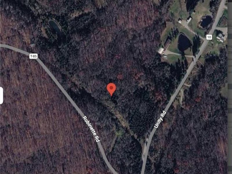 1148 Robinette Road, West Union, OH 45693 Photo 3