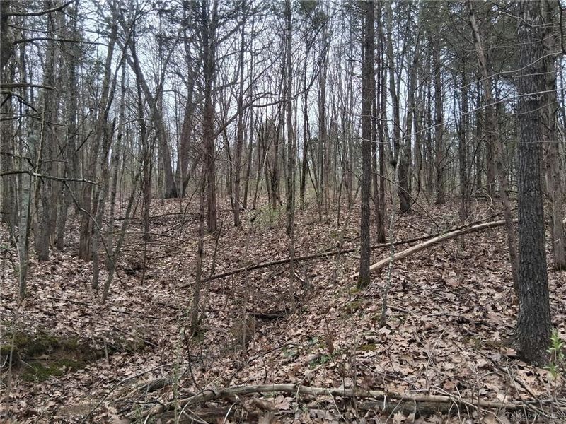 1148 Robinette Road, West Union, OH 45693 Photo 6