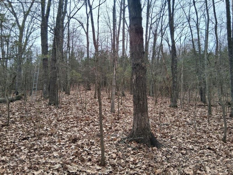 1148 Robinette Road, West Union, OH 45693 Photo 7