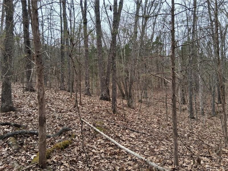 1148 Robinette Road, West Union, OH 45693 Photo 8