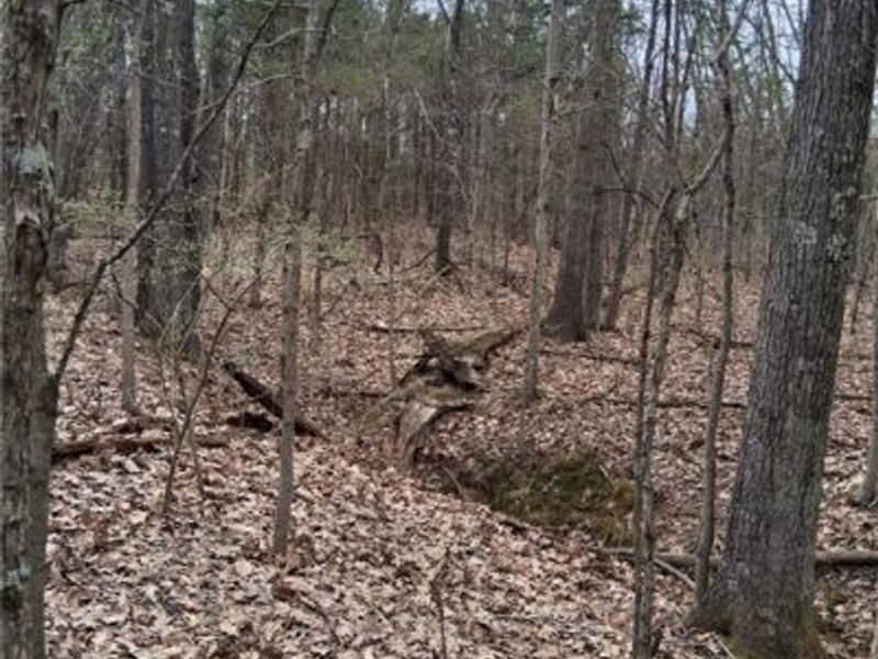 1148 Robinette Road, West Union, OH 45693 Photo 9