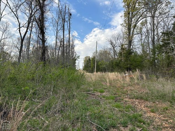 188 Oregon Trail, Pyatt, AR 72672