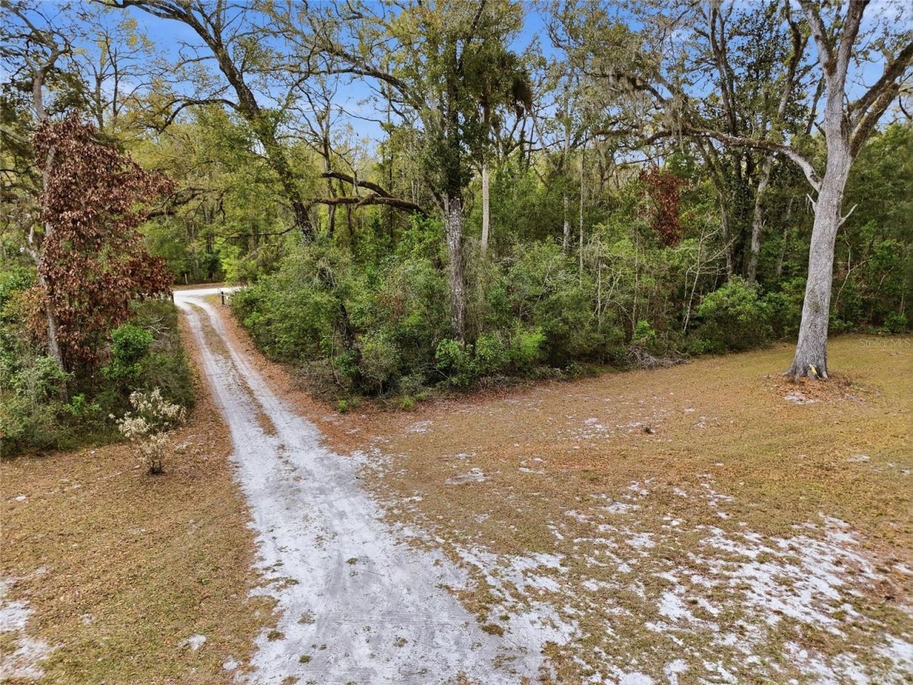 167 NE 212th Avenue , Old Town, FL 32680 Photo