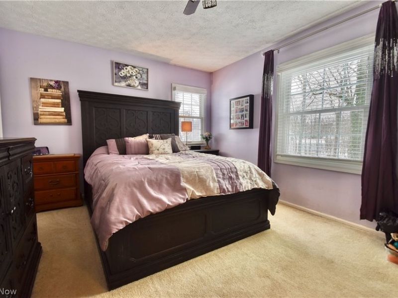 9360 Sunrise Court, Mentor, OH 44060 Photo 22