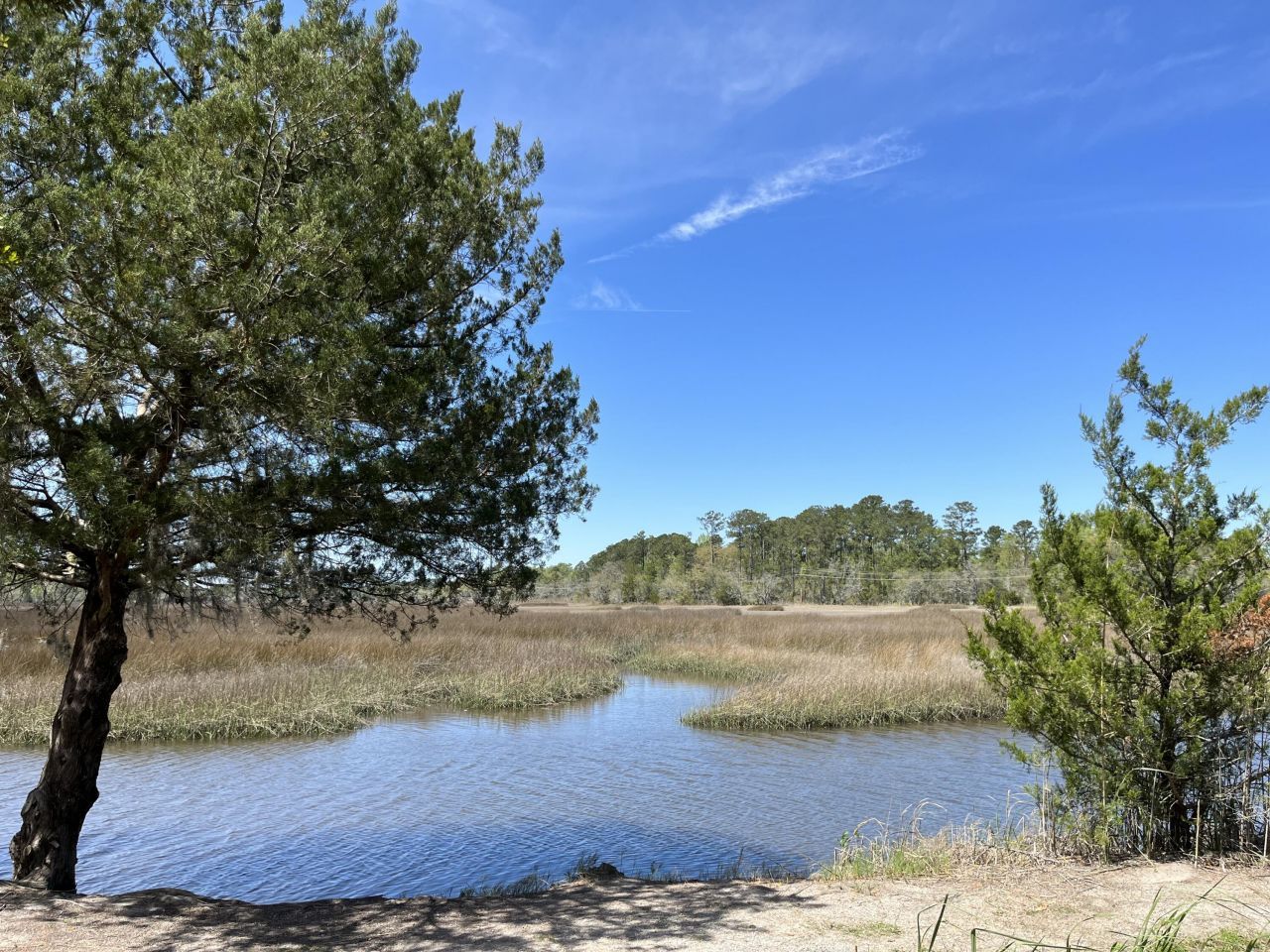 603 Mclernon Trace Photo 21