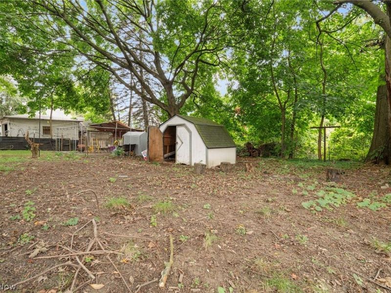 163 W Market Street, Alliance, OH 44601 Photo 17