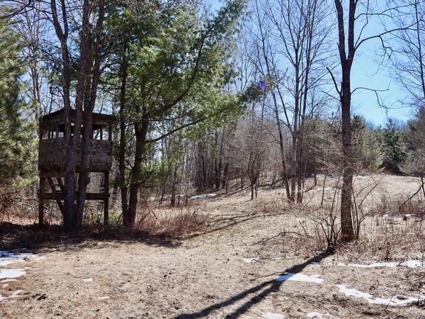 V/L 200th Avenue, Tustin, MI 49688