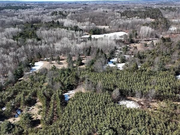 V/L 200th Avenue, Tustin, MI 49688