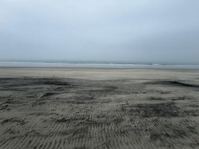 240 Atlantic Ave. Photo 45