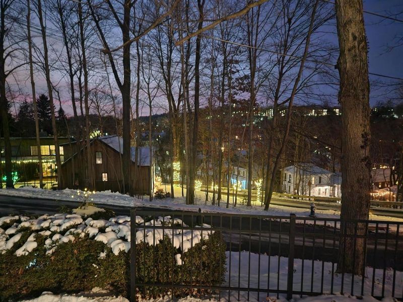 324 Mount Parnassus Drive, Granville, OH 43023 Photo 49