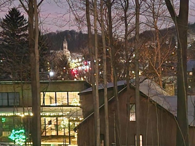 324 Mount Parnassus Drive , Granville, OH 43023 Photo 50