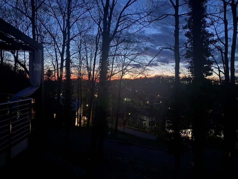 324 Mount Parnassus Drive, Granville, OH 43023 Photo 53