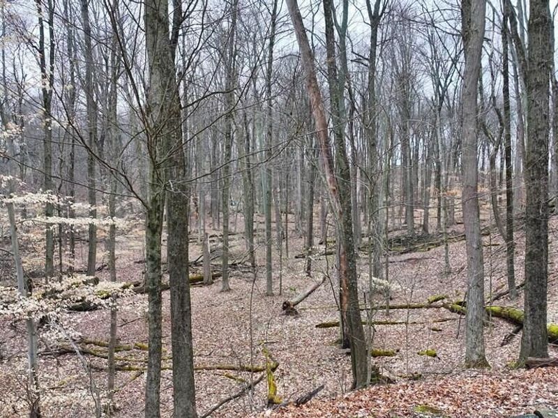 752 Vanderbilt Rd , Lexington, OH 44904 Photo 32