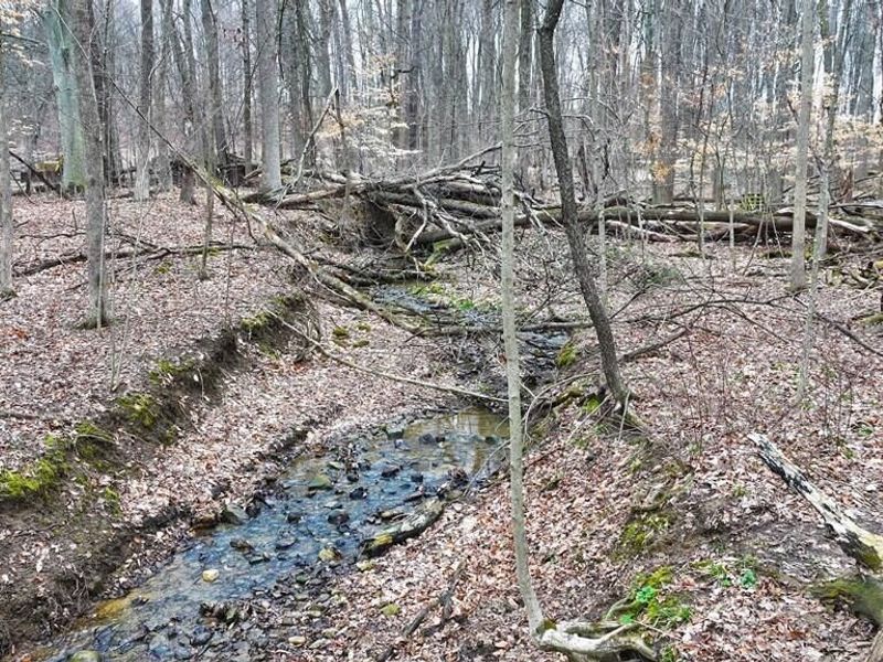 752 Vanderbilt Rd , Lexington, OH 44904 Photo 38