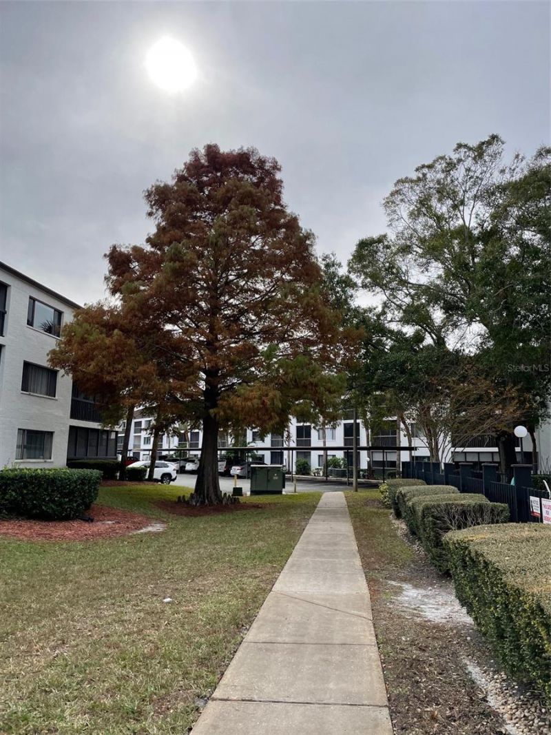 2591 Countryside Boulevard , Unit 5203, Clearwater, FL 33761 Photo