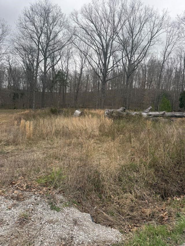 0 Mckendree Chapel Road, Morgantown, KY 42261 Main Photo