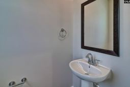 563 Swamp Grass Drive photo 4