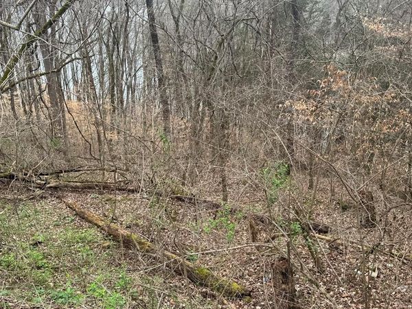 0 Lakeside Dr, Smithville, TN 37166