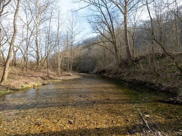 15.76 AC Charlie Allen Ln, Whitleyville, TN 38588