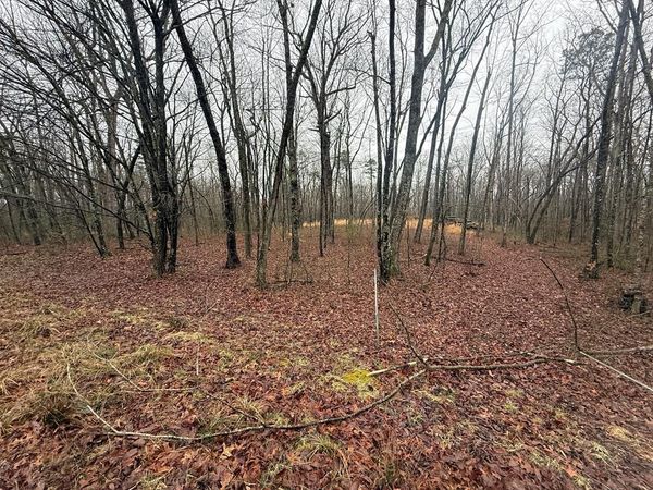 551 Cliff Park Rd, Monterey, TN 38574