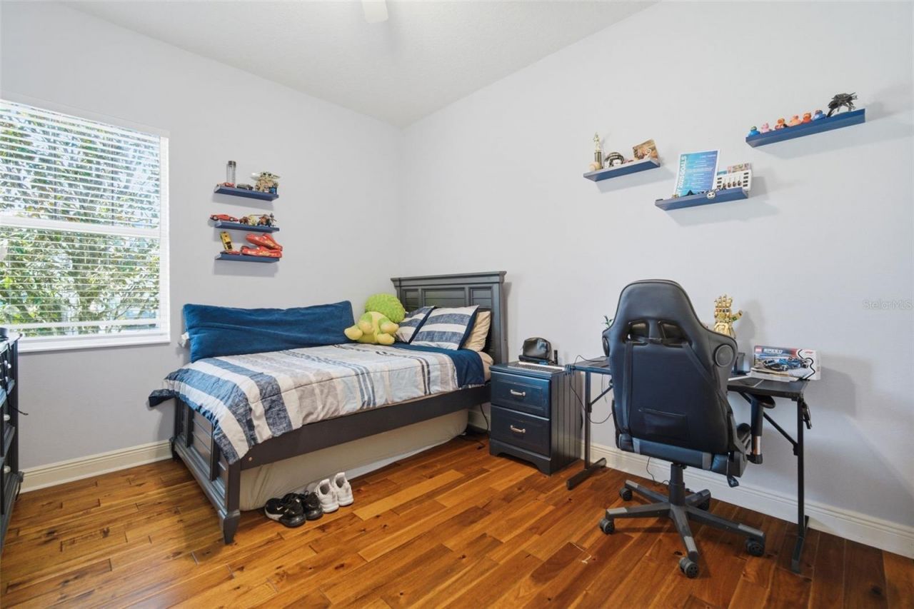 3220 Azure Sky Way, Wesley Chapel, FL 33544 Photo