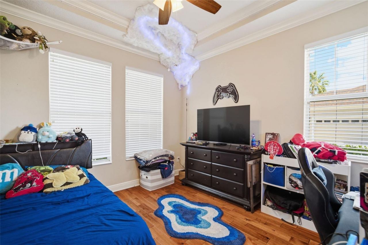 3220 Azure Sky Way, Wesley Chapel, FL 33544 Photo