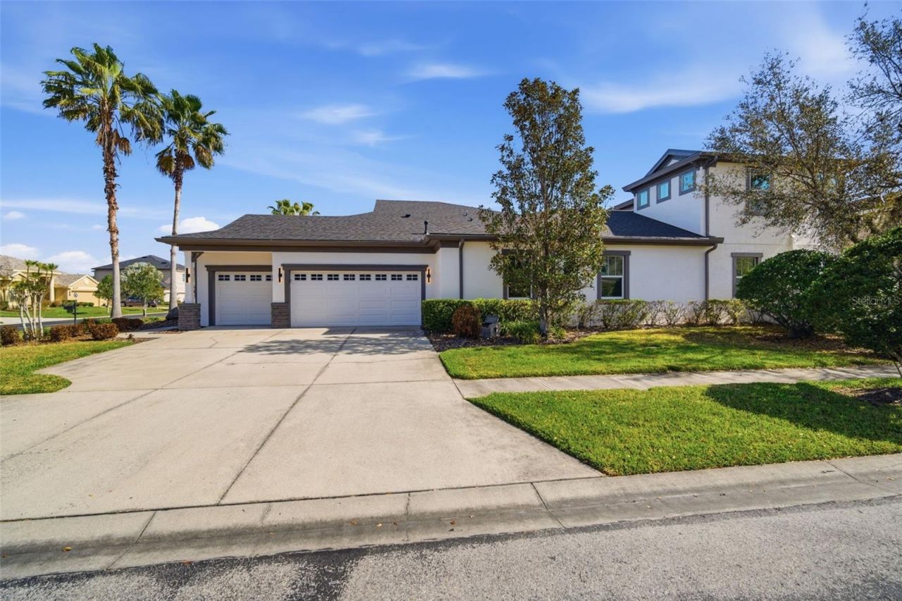 3220 Azure Sky Way, Wesley Chapel, FL 33544 Photo