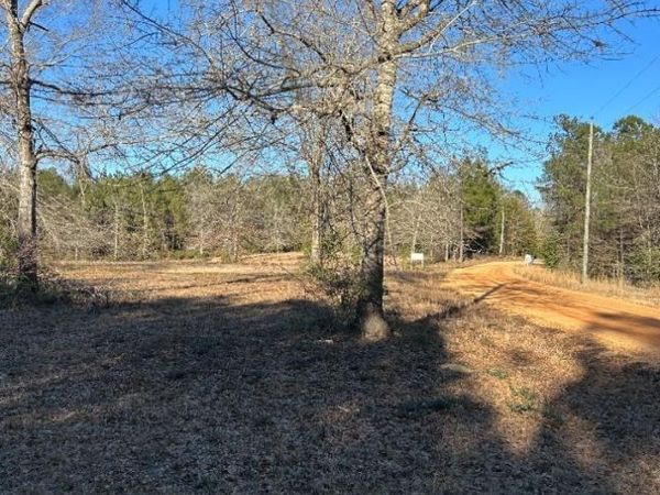 0 Buddy Lake Road, Brewton, AL 36426