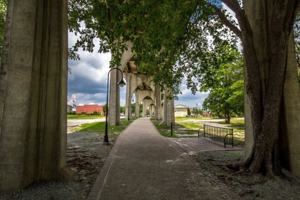 1013 Elm St. Photo 44