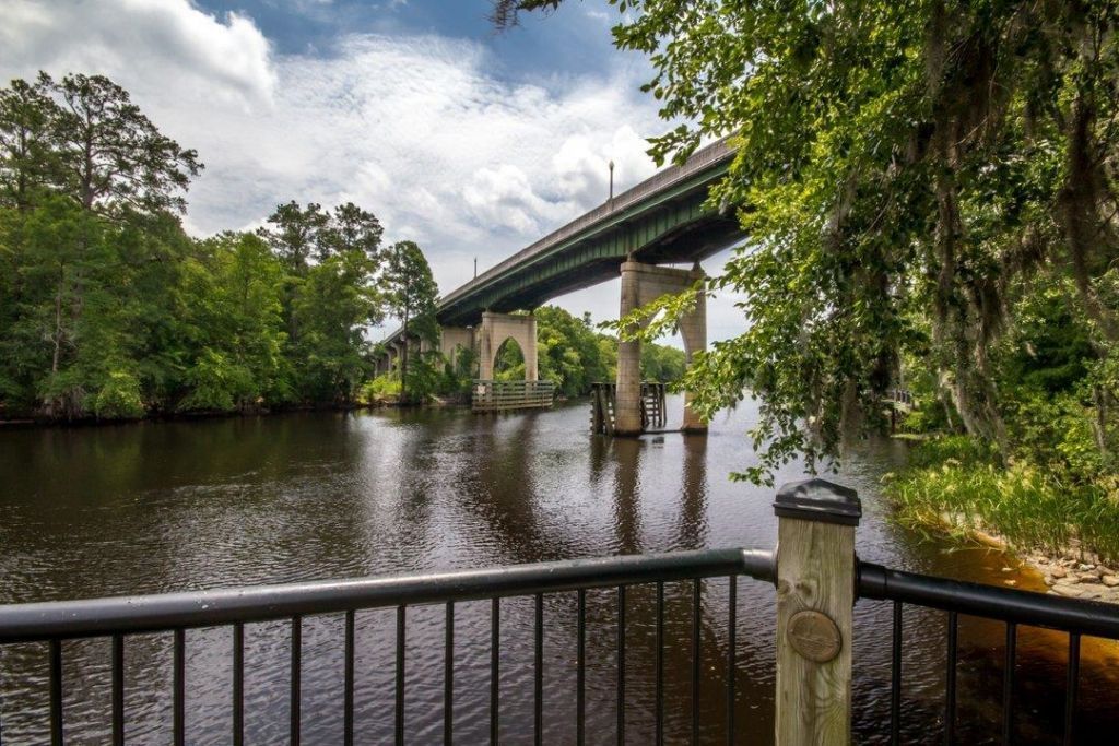 1013 Elm St. Photo 52