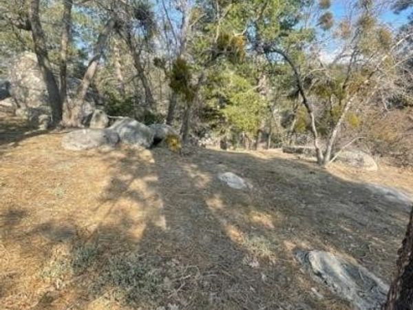 0 Forrest Dr, Running Springs, CA 92382