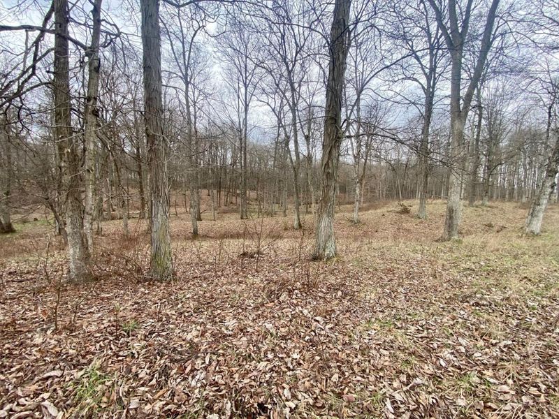 ac Wildcat Road, Winchester, OH 45697 Photo 15