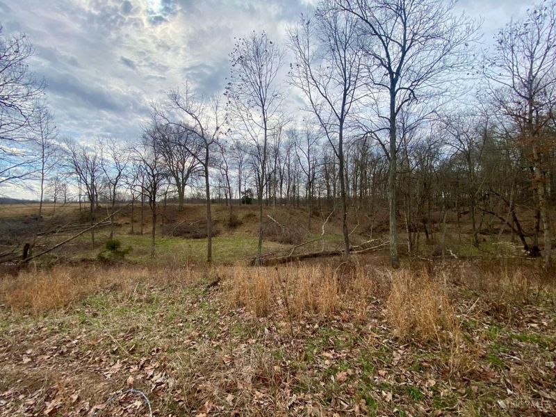 ac Wildcat Road, Winchester, OH 45697 Photo 17