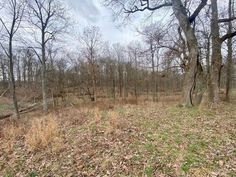 ac Wildcat Road, Winchester, OH 45697 Photo 18