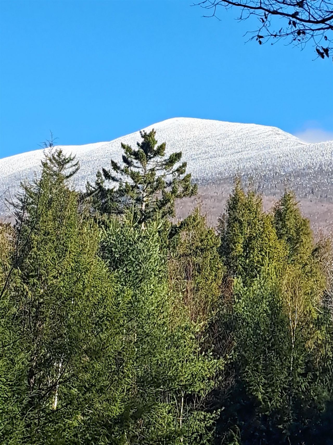 00 Stimson Road, Warren, NH 03279 Main Photo