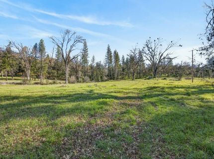 3150 Bridgeport School Rd, Fiddletown, CA 95629 Photo