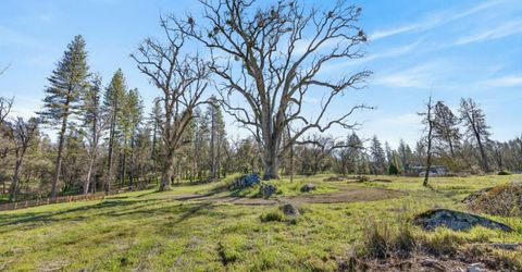 3150 Bridgeport School Rd, Fiddletown, CA 95629 Photo