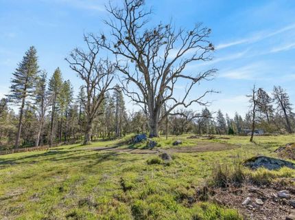 3150 Bridgeport School Rd, Fiddletown, CA 95629 Photo